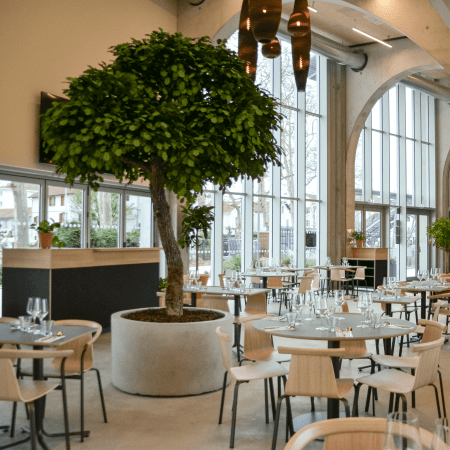 Actualités - Un restaurant à Jean-Dauger