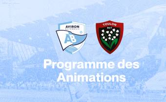 Le programme des animations
