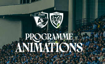 Le programme des animations