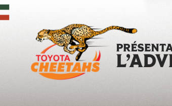Les Cheetahs à Bayonne : qui sont ces Sud-Africains qui débarquent à Jean-Dauger ?