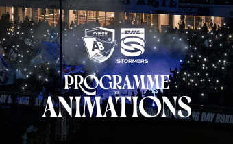 Le programme des animations