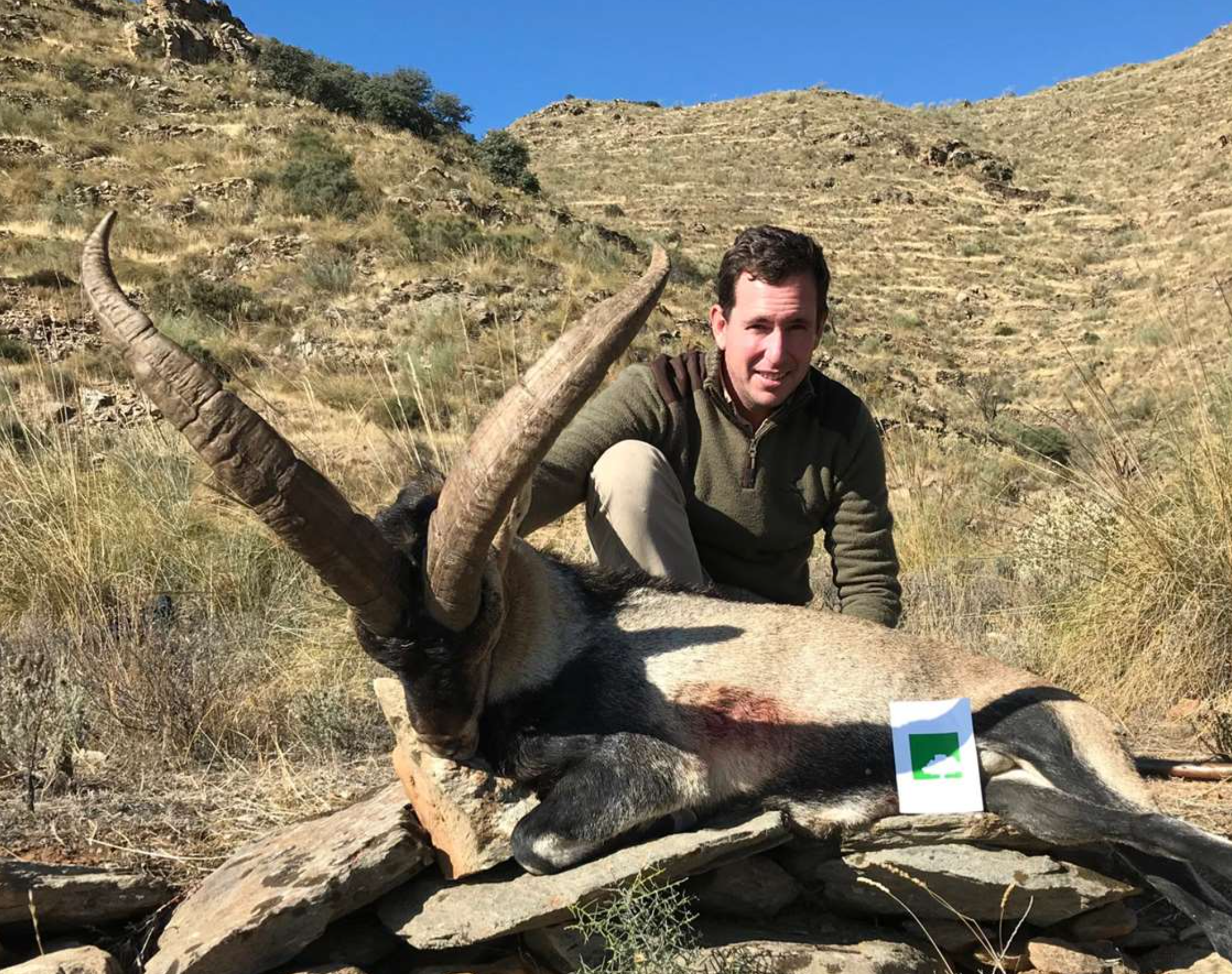 6 Day Mountain Goat Hunt 2026 — Big Game Hunting in Pflugerville, TX — photo 2