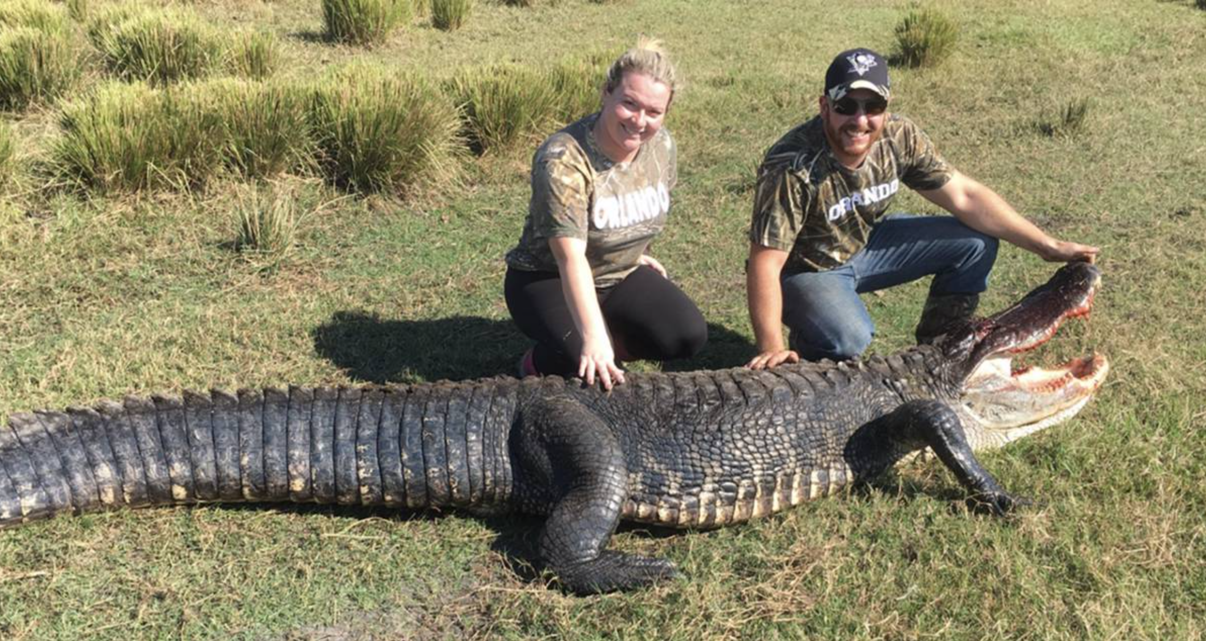 Airboat Gator Hunt — Exotic Hunts in Naples, FL — photo 3