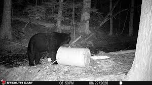 Trail Cams got this big boy on my dad ranch in Quebec, Canada #hunterlfife #blackbear #dreamhnf