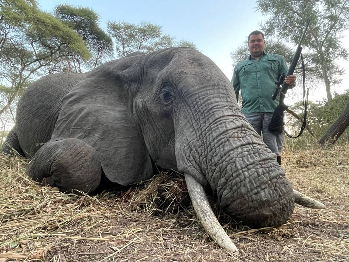 Elephant Bull Safari — Big Game Hunting in Mount Hampden Junction, Mashonaland West Province, Zimbabwe — photo 2