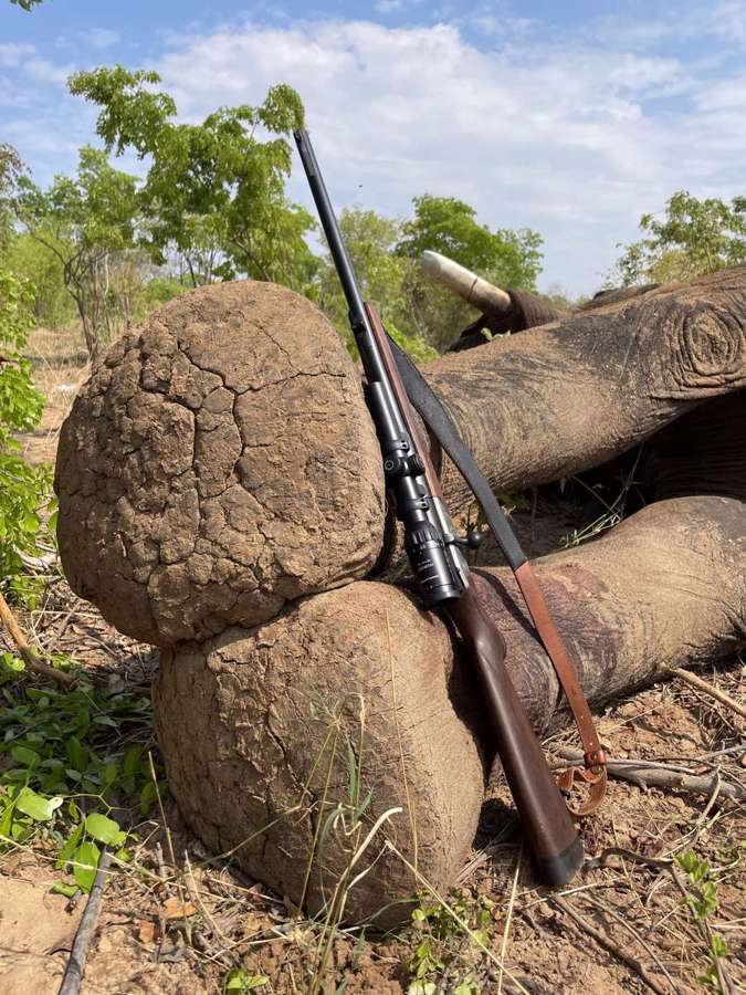 Elephant Bull Safari — Big Game Hunting in Mount Hampden Junction, Mashonaland West Province, Zimbabwe — photo 5