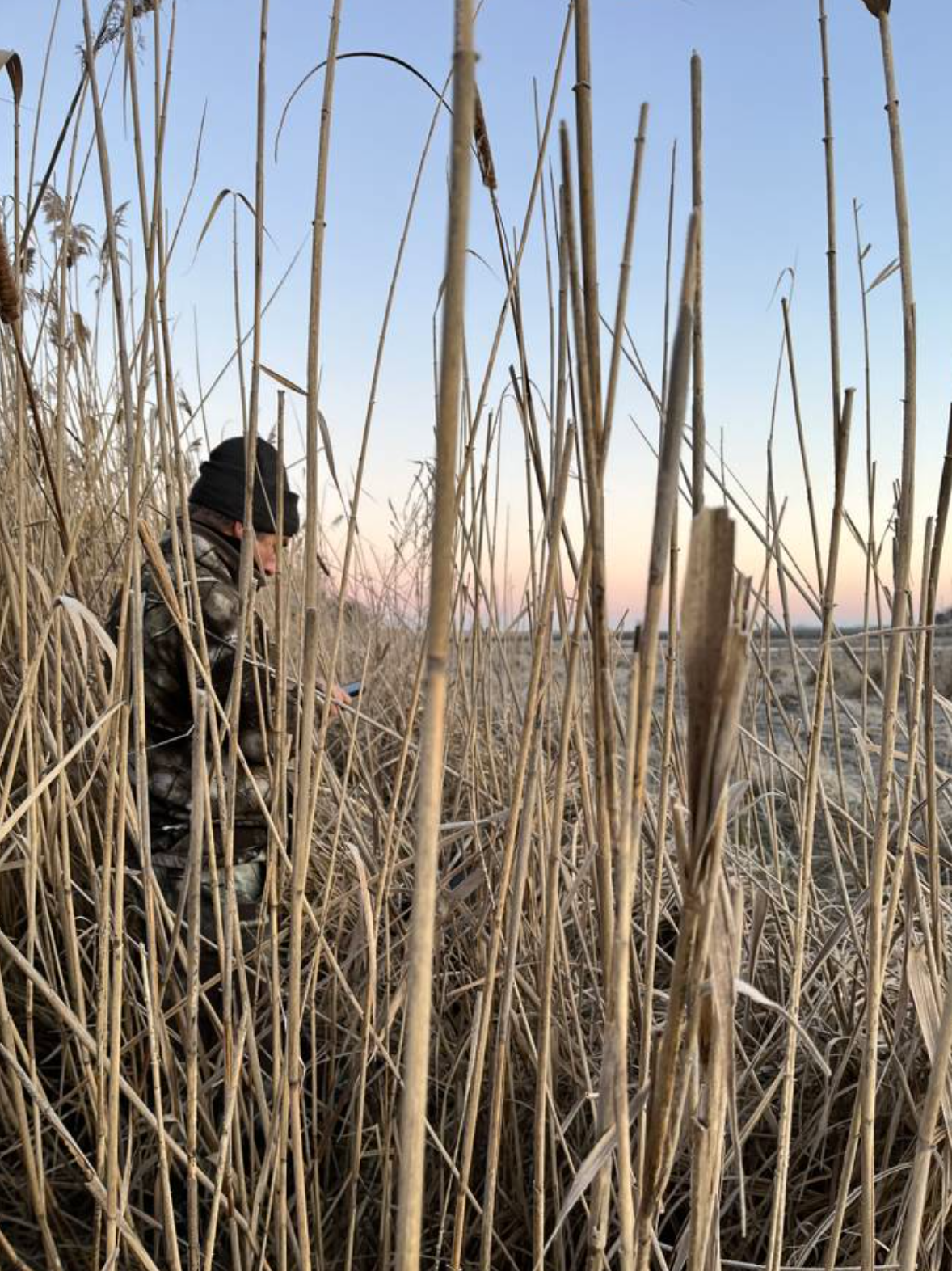 Goose and Duck Hunt — Bird Hunting in Ebes, Hajdú-Bihar, 4211, Hungary — photo 3