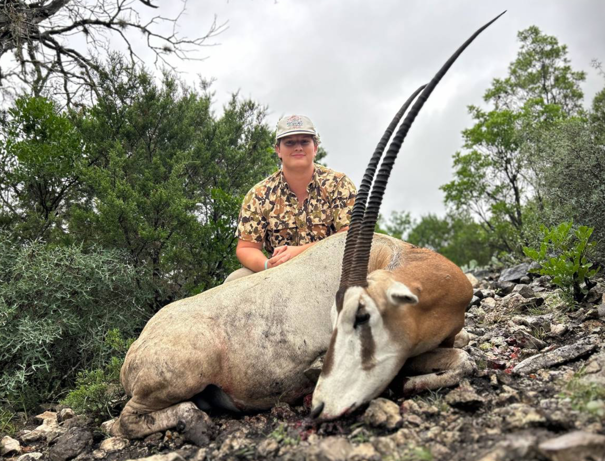 Scimitar Oryx Hunt — Big Game Hunting in Aransas Pass, TX