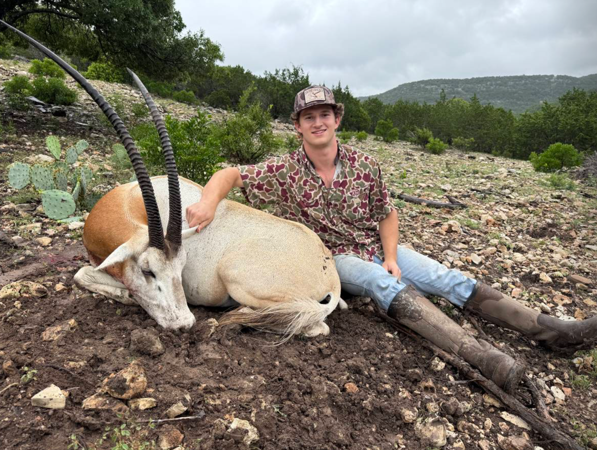 Scimitar Oryx Hunt — Big Game Hunting in Aransas Pass, TX — photo 2