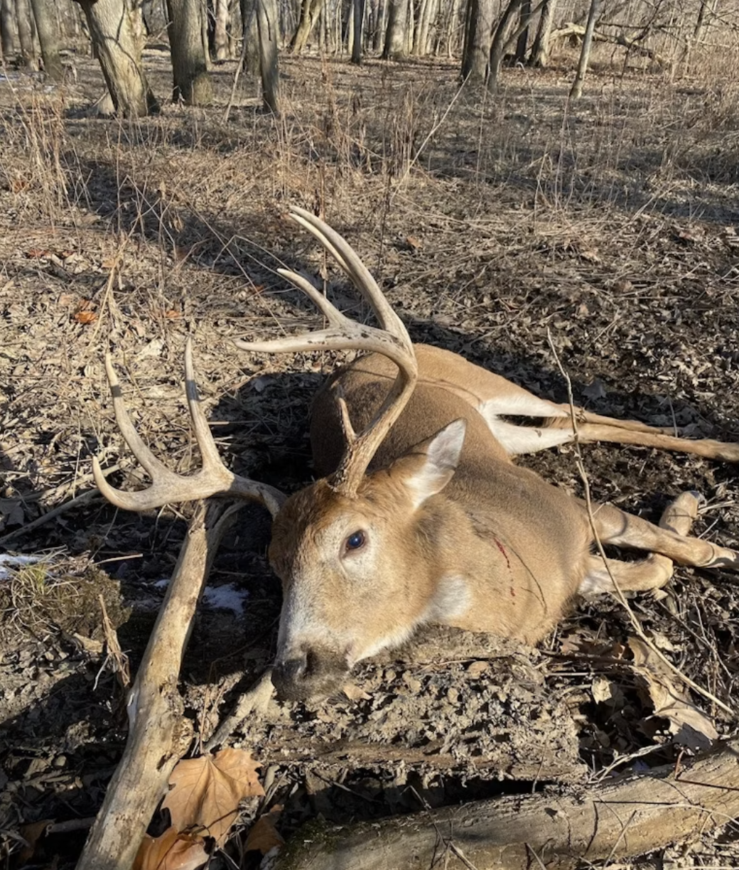 Fulton County Whitetail Buck Hunt — Big Game Hunting in West Unity, OH — photo 2