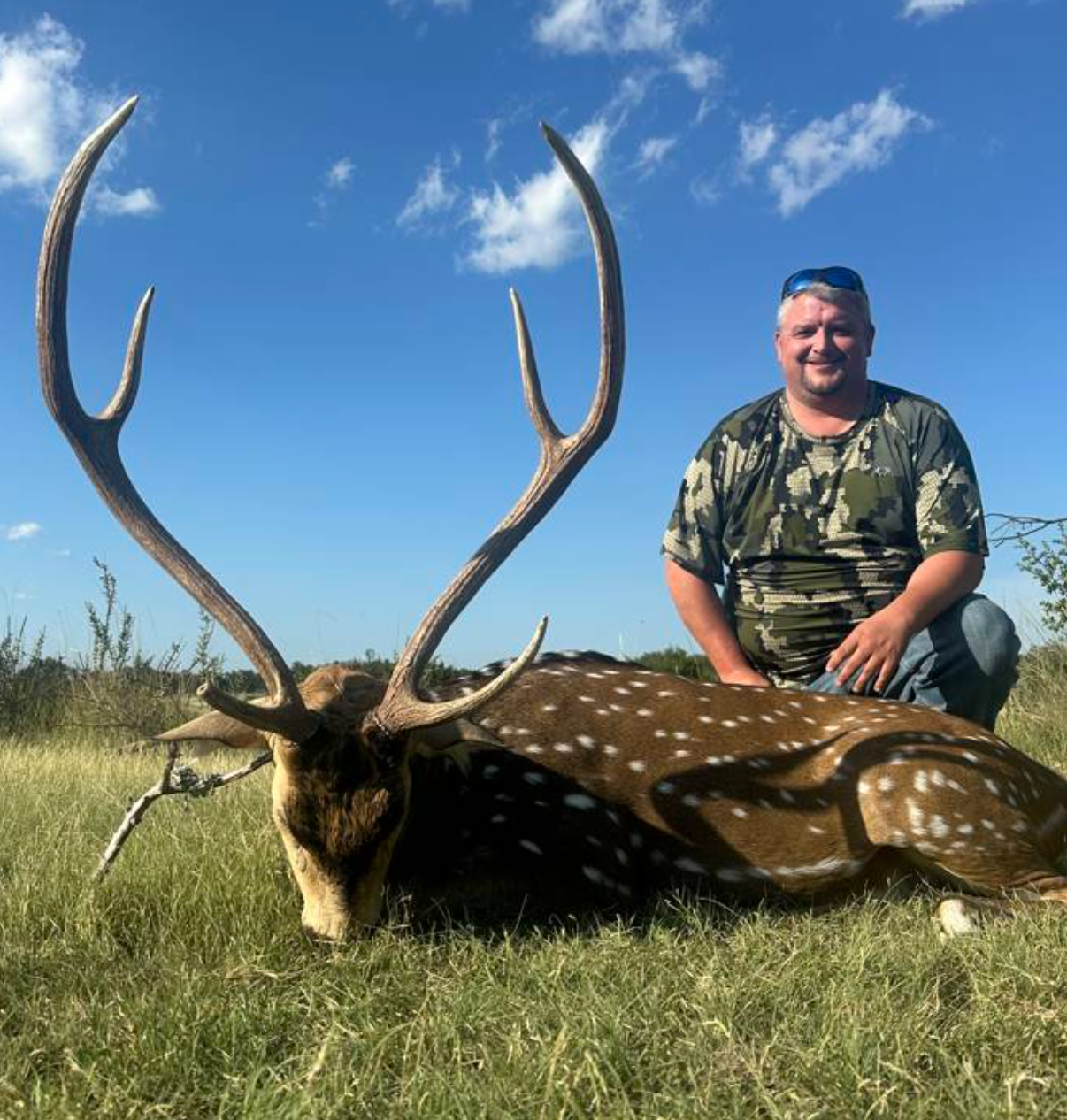 Axis Deer Hunt — Big Game Hunting in Uvalde, TX — photo 2