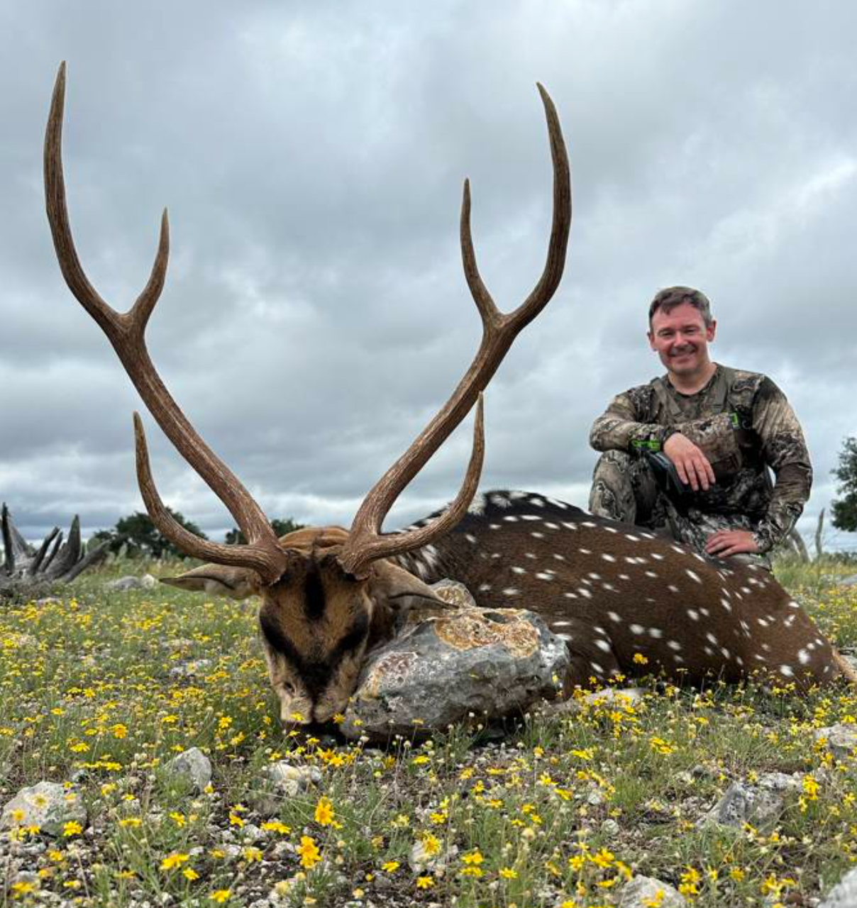 Axis Deer Hunt — Big Game Hunting in Uvalde, TX — photo 3