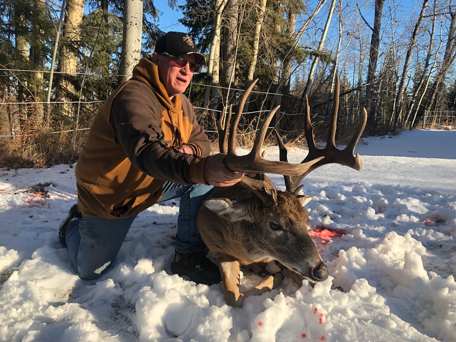 Trophy whitetail deer hunt — Big Game Hunting in Freeman River, Alberta, T0G 1A0, Canada