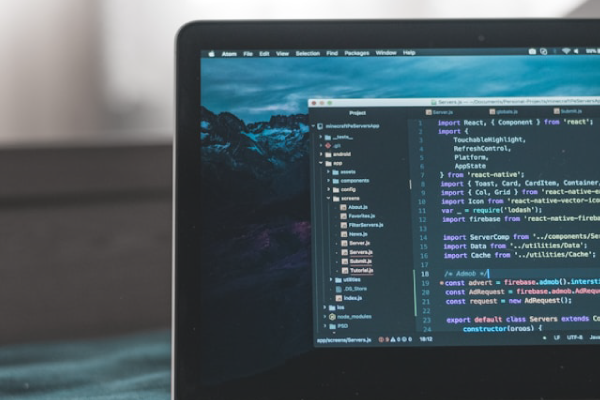 Absera Academy Python Training