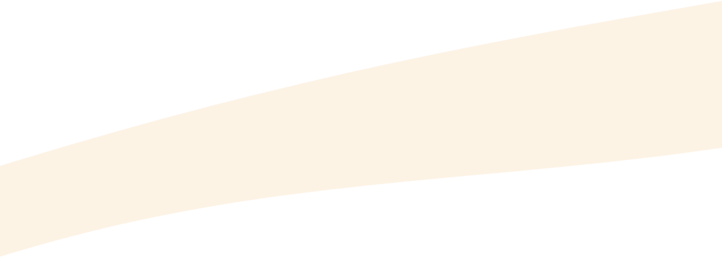 section background