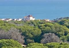 Leilighet i Guardamar del Segura, bilde 19