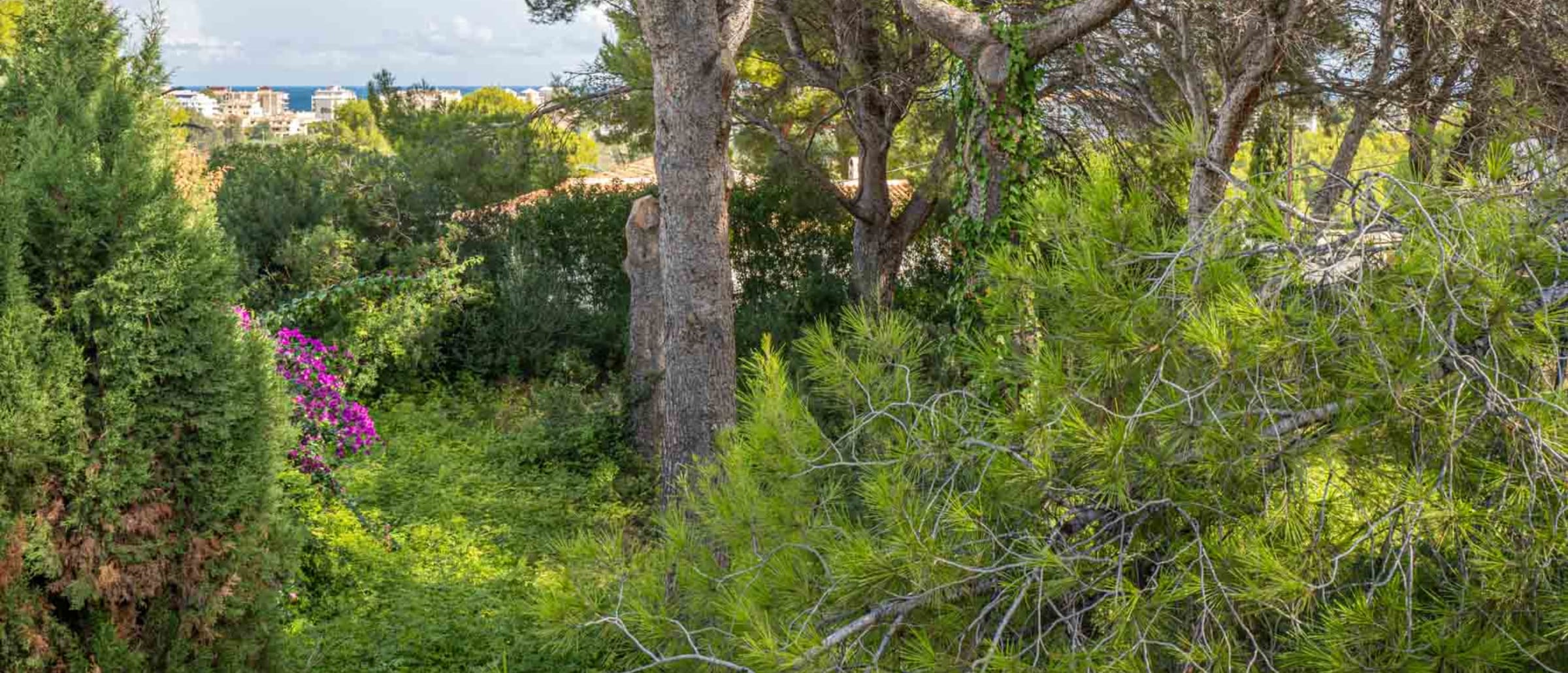 4131JAV Plot for sale near the Arenal - Image 1