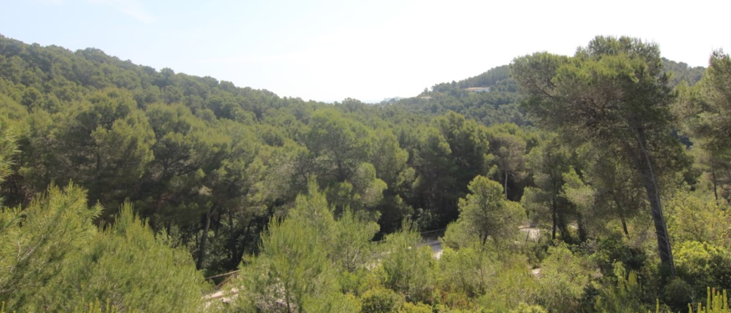 Building plots for sale in Javea - Image 1