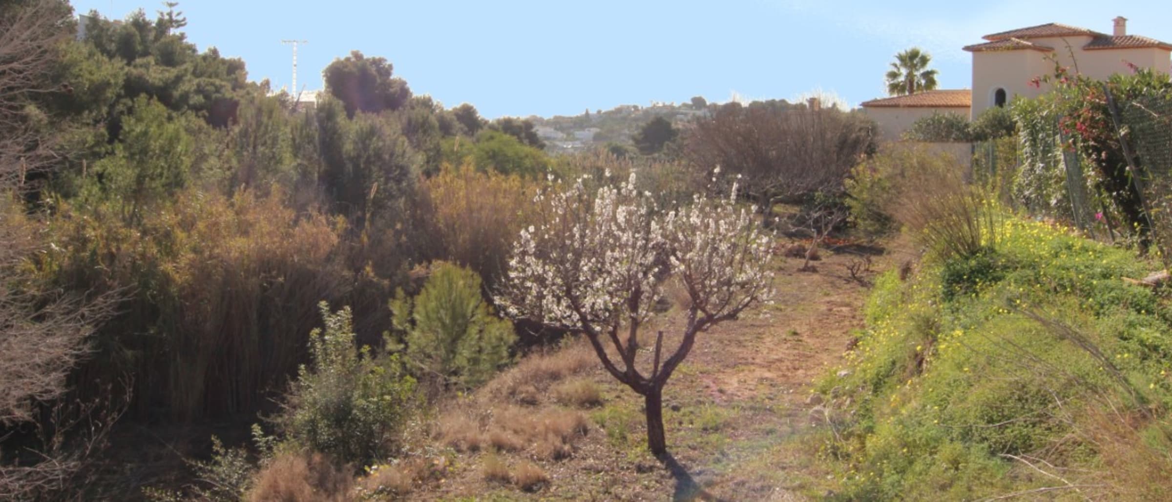 3205BEN Building plots for sale in Benissa Costa - Image 1