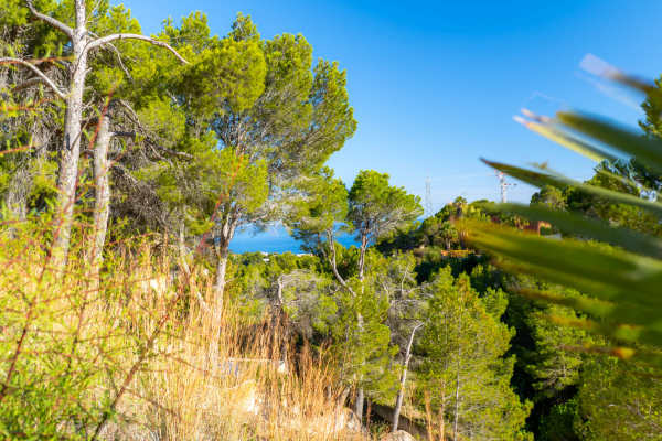 4668ALT Building plot for sale in Altea - Image 2