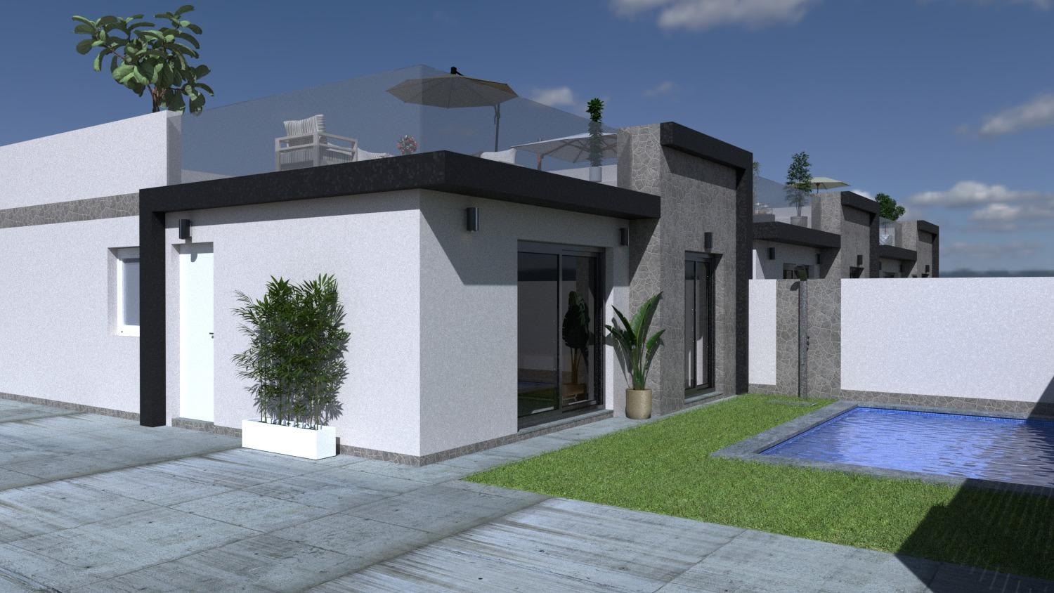 Nybygd villa med takterrasse og privat basseng, bilde 1