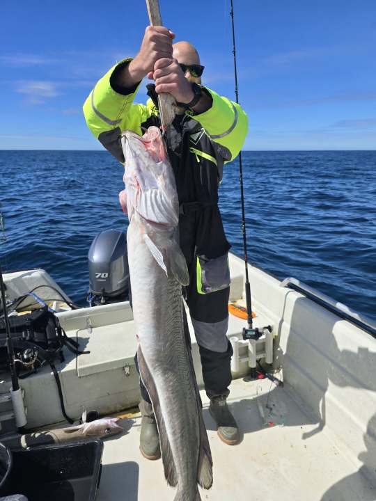 Guest holding a large ling caught on the open sea