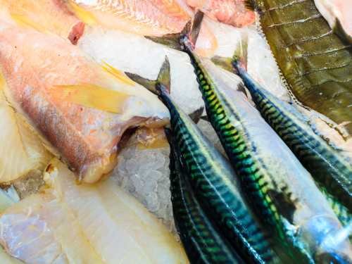 Fishing - Bilde 6