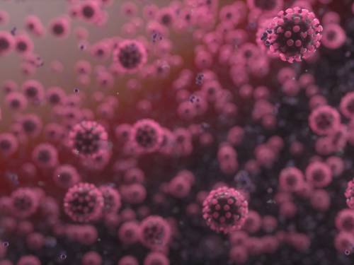 Illus: Information related to the Korona epidemic