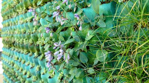 Illus: Sirkulær bruk av regnvann