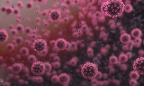 Illus: Informasjon i forbindelse med Korona epidemien