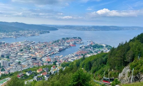 Illus: En sommerhilsen fra oss i VestenFjeldske Eiendom