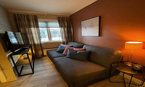 Illus: Studioleilighet D13
