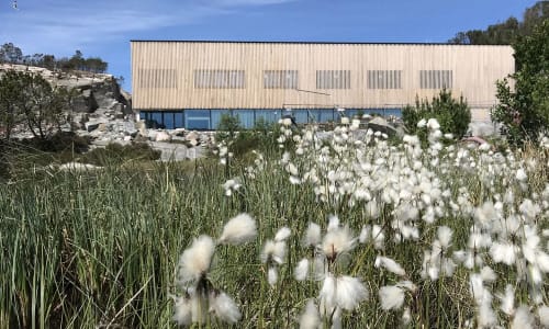 Illus: Hjeltefjorden Arena
