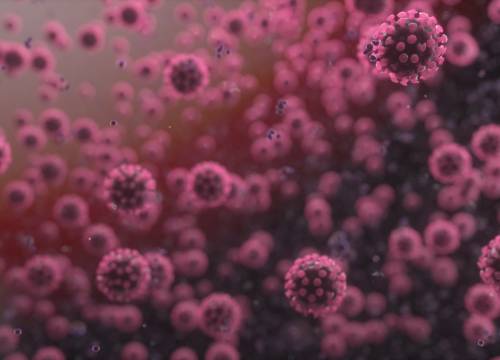 Illus: Information related to the Korona epidemic