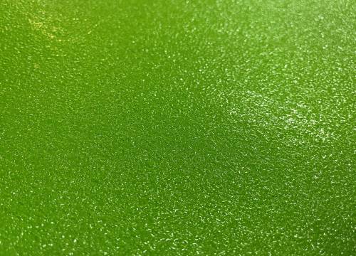 Illus: POLYUREA and POLYURETHANES