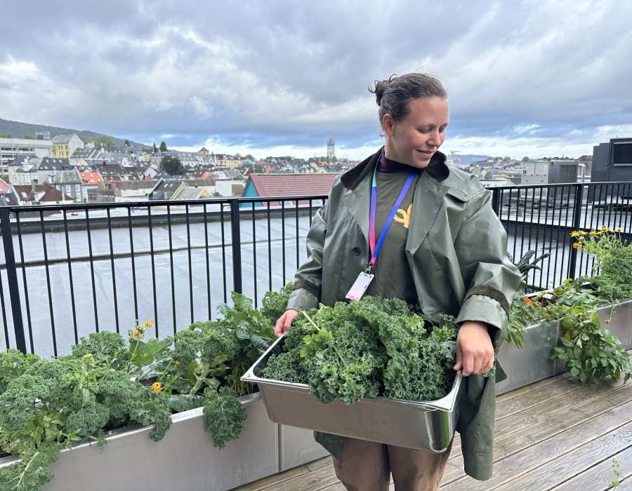Grønt tilbake på bordet
