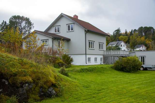 Main Image