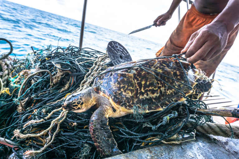 Etterlatte fiskegarn kan bli liggende i havet i flere hundre år og utgjøre en fare for livet under vann.