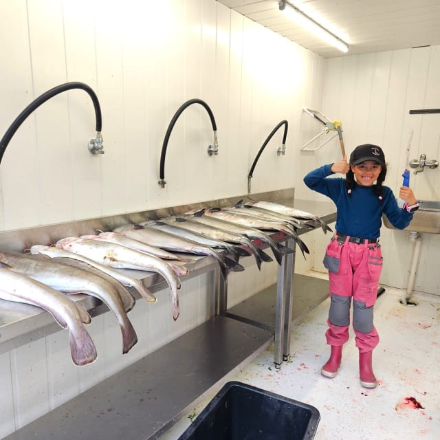 Hovedbilde Ekte fiske på Nordmøre