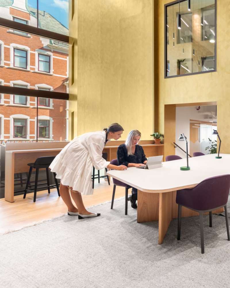 Mezzaninen, takterrasse & resepsjonsområdet