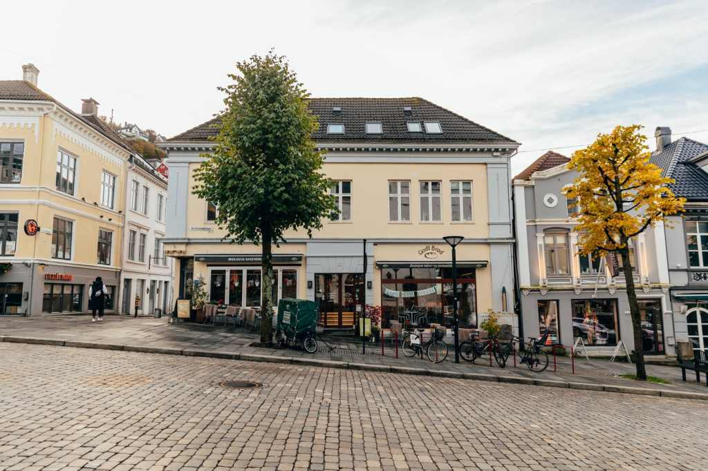 vetrlidsallmenningen 19