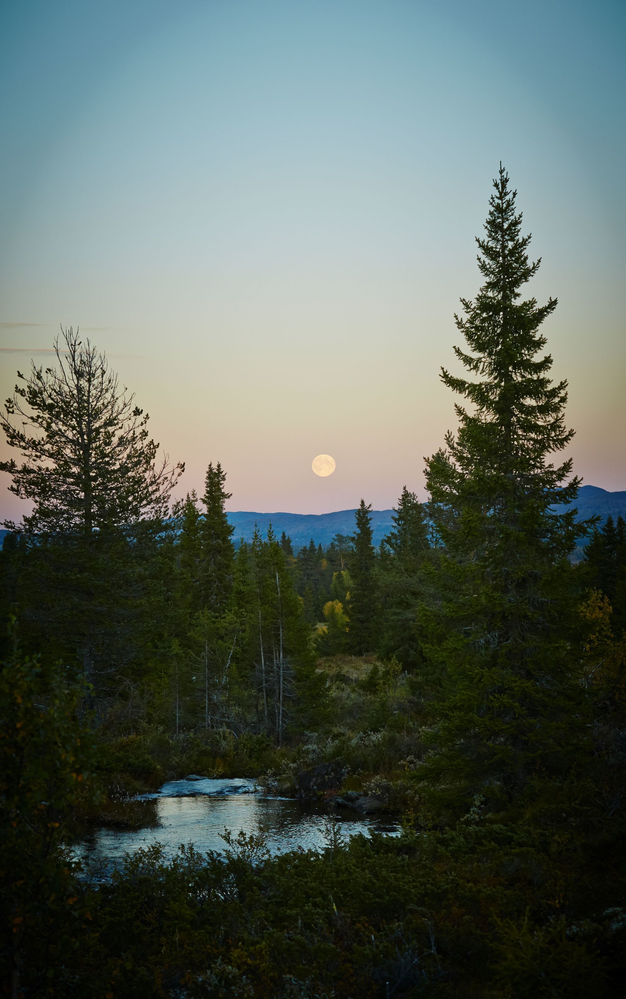 Hjemreise med uslåelig natur