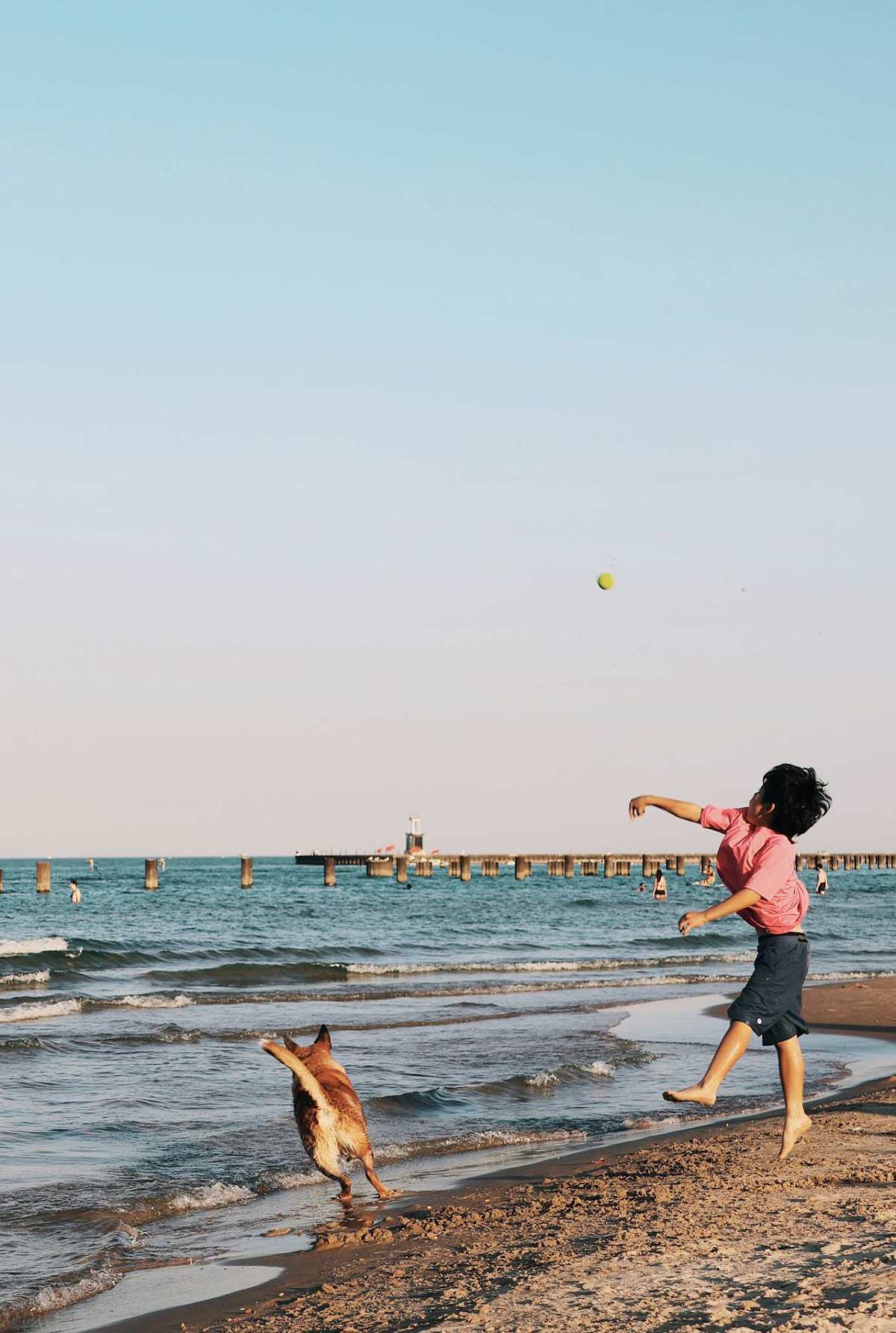 Child playing with a dog on a sunny beach