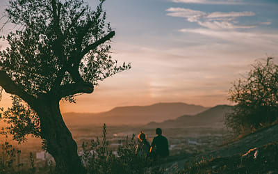 Slik velger du riktig region i Spania | Eiendomsinvesteringsguide