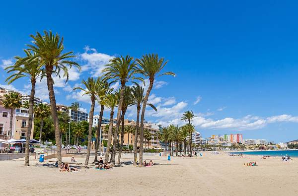 People relaxing under palm trees in Villajoyosa