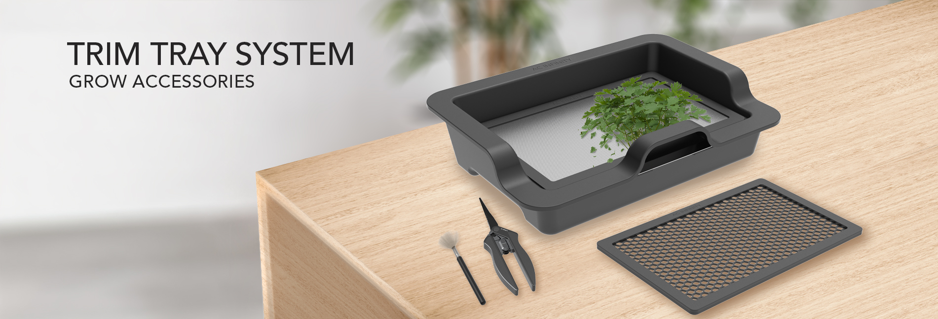 Trim tray on wooden table against plant background