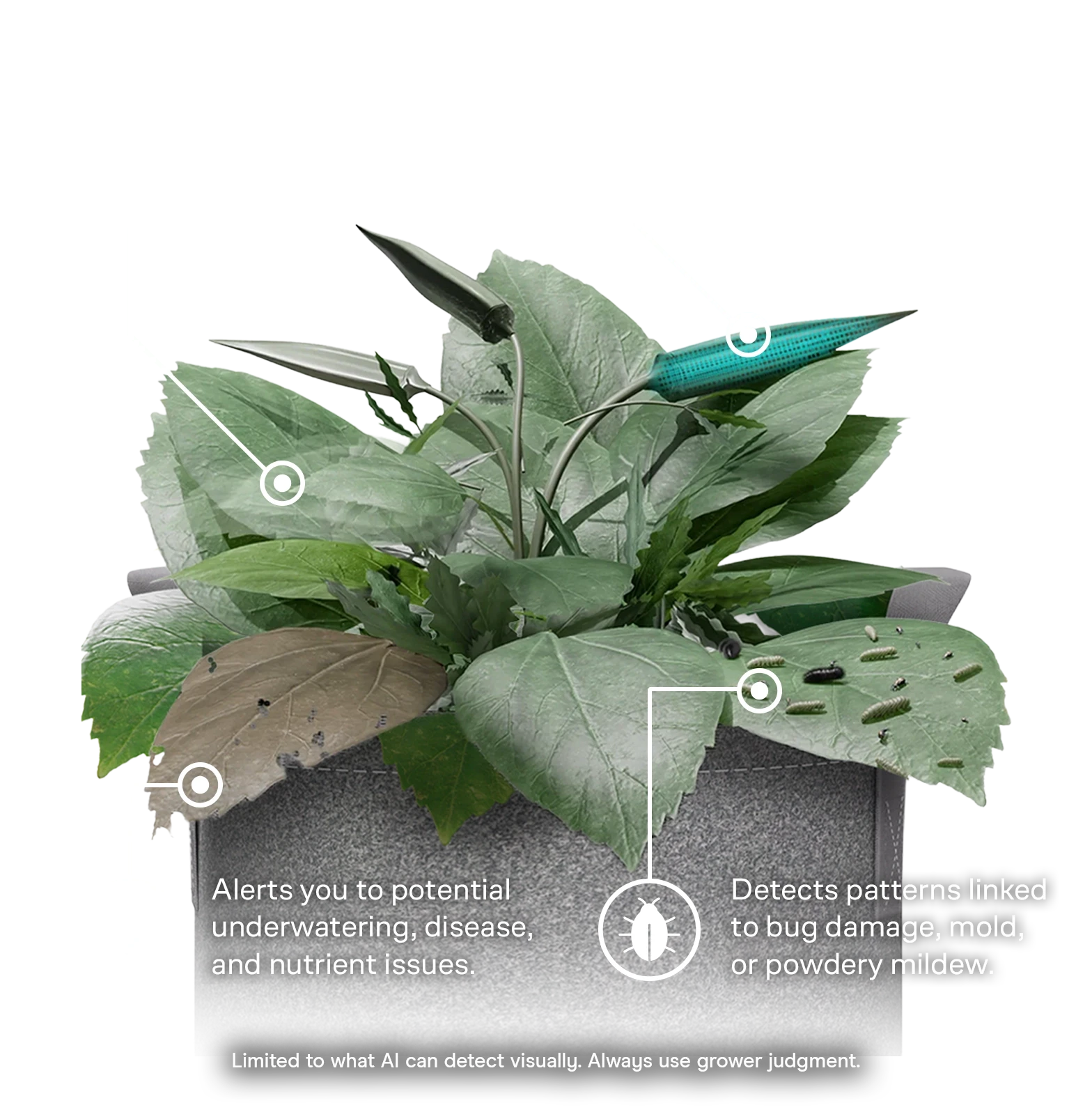Spectron AI-Powered Grow Cameras