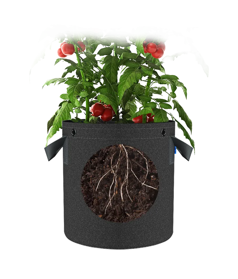 Fabric pots with reinforced handles being carried, showcasing durability and ease of movement.
