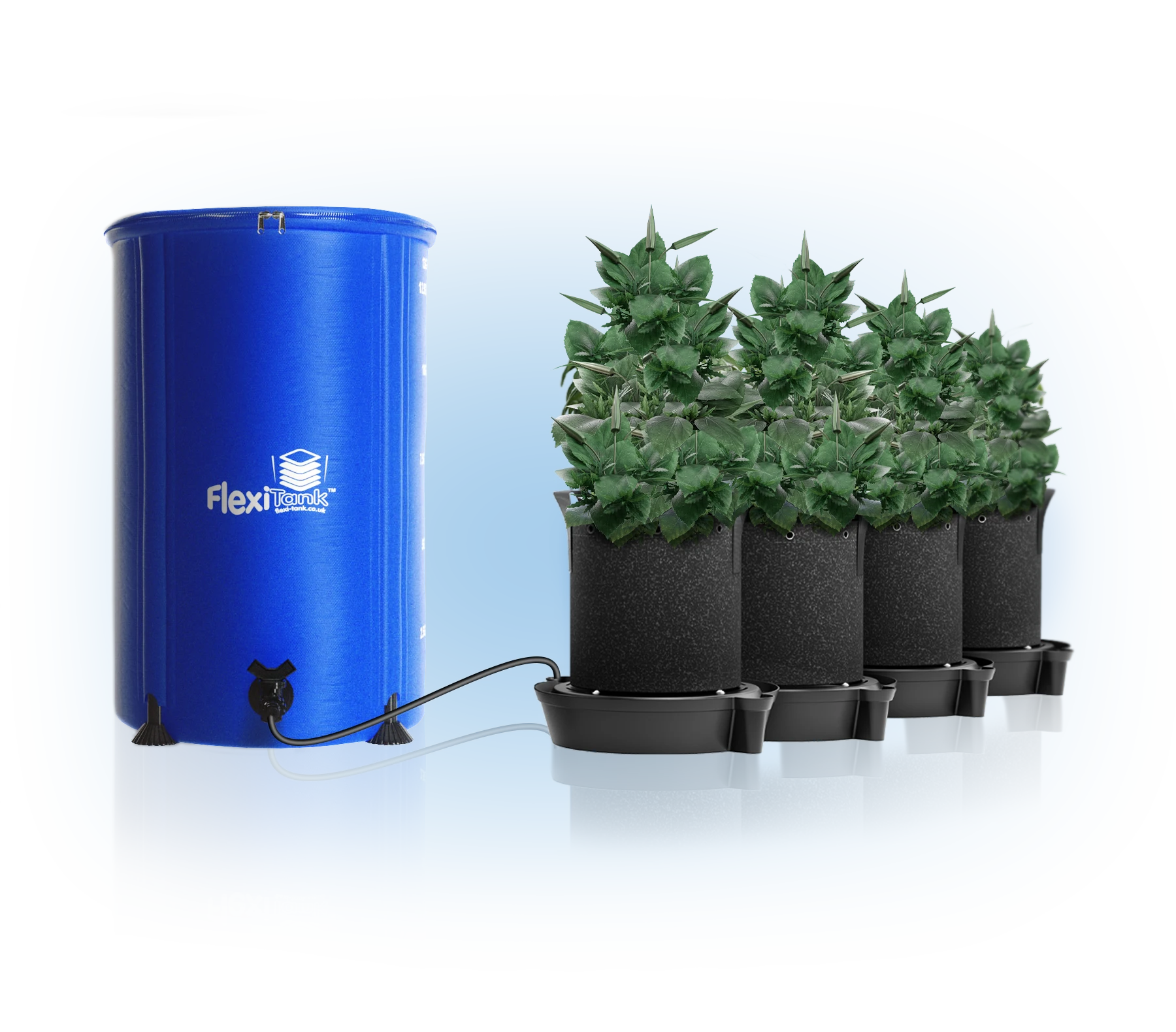 An organized, multi-pot setup of the gravity-fed self-watering modular irrigation layout including water delivery valves and lines.
