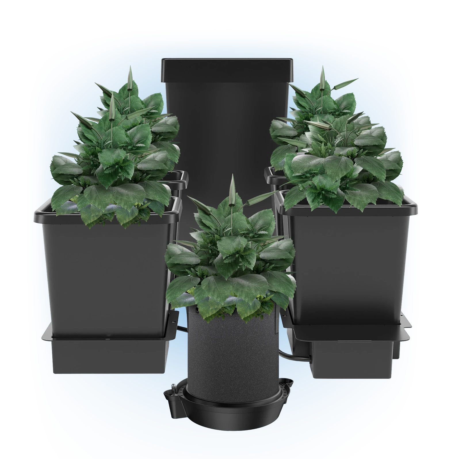 Scalable hydroponic installation layout showing multiple planter trays interconnected down a main water feed route for commercial modular growth expansion.